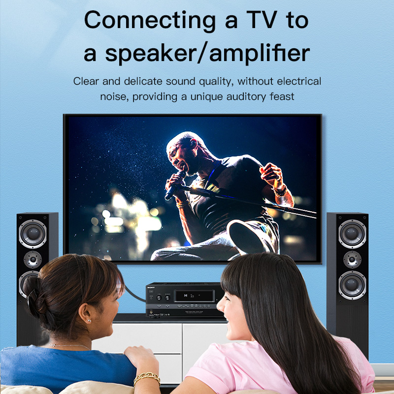 CHOSEAL RCA Kablosu Dijital Ko - Home Cinema Furniture incelemesi ve fiyatı
